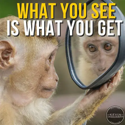 What You See is What You Get