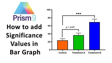 Why a Bar Graph is More Suitable