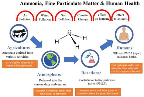 Why Ammonia is a Concern in Confined Spaces