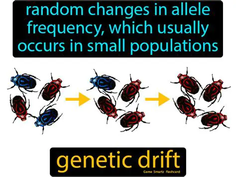 Why Genetic Drift is a Problem for Small Populations