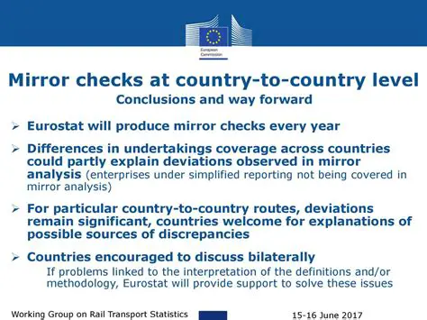 Why Mirror Checks are Crucial