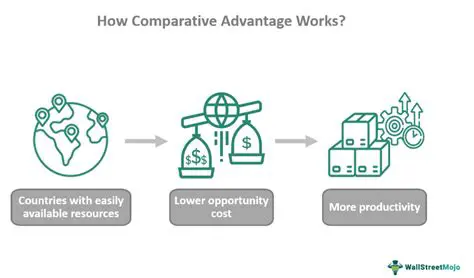 Why Producers Choose to Specialize to Gain a Comparative Advantage