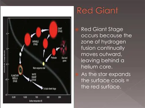 Why the Red Giant Stage Follows the Main Sequence Stage