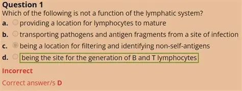 Why This Answer is Correct