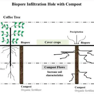 Widespread adoption of the Biopori Infiltration Hole technology