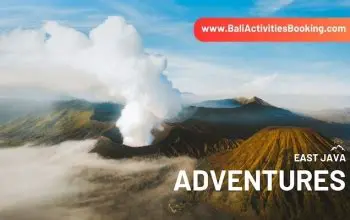 Wita Tours Travel Bandung: Your Gateway to Unforgettable West Java Adventures
