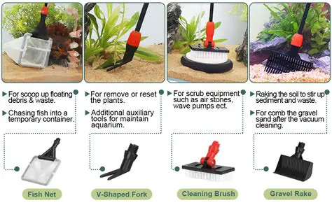 Work Stages of the Aquarium Cleaning Tool and Automatic Fish Eating