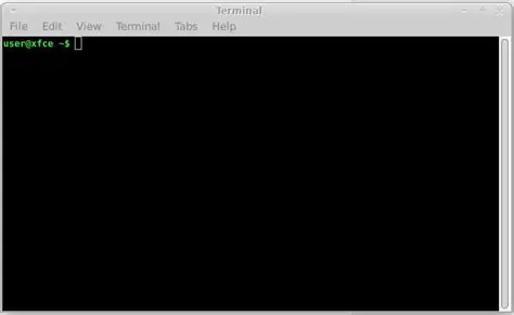 Xfce4 Terminal configuration issues
