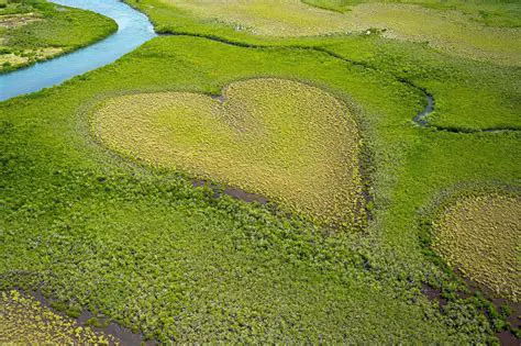 Yann Arthus-Bertrand : L'Œil et l'Âme d'un Photographe Engagé pour la Planète