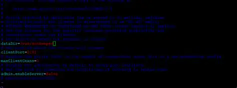 ZooKeeper Configuration Issues