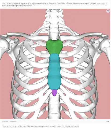 Zooms in on any part of the desktop